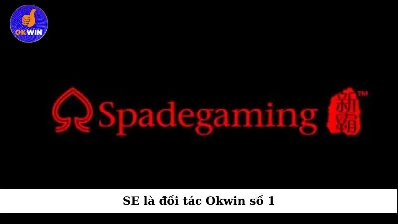 SE là đối tác Okwin số 1