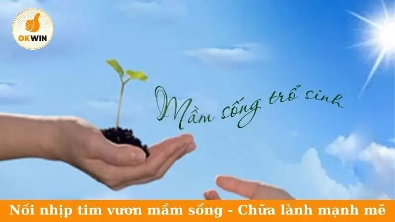 Nối nhịp tim vươn mầm sống - Chữa lành mạnh mẽ