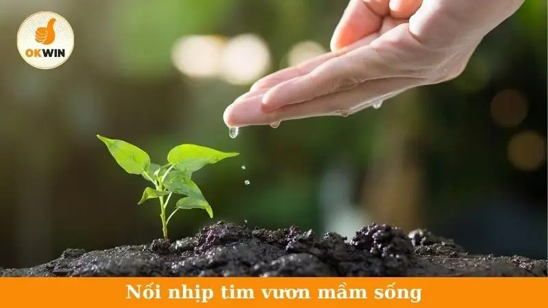 nối nhịp tim vươn mầm sống