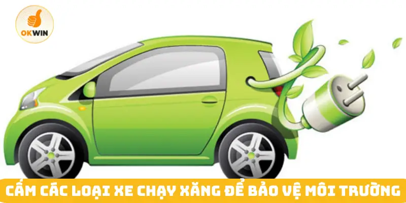Cấm các loại xe chạy xăng để bảo vệ môi trường