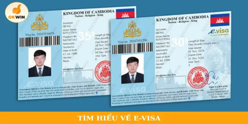 Tìm hiểu về E-visa